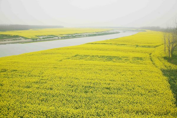 ��������̲�羰